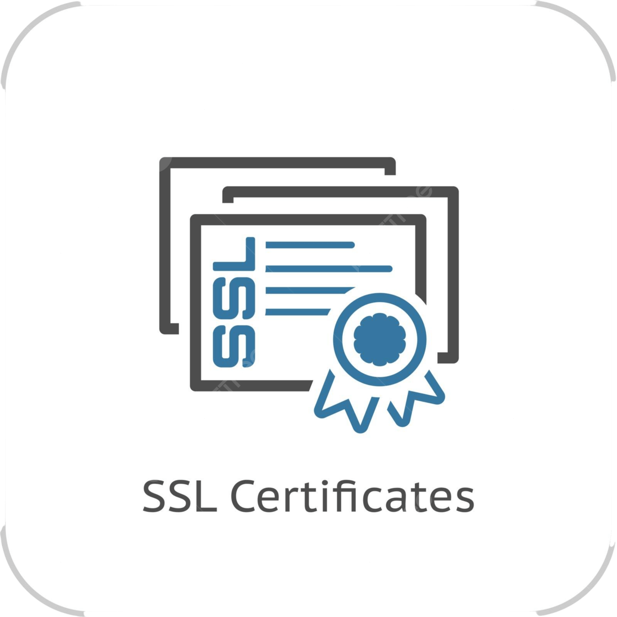Premium SSL Certificate